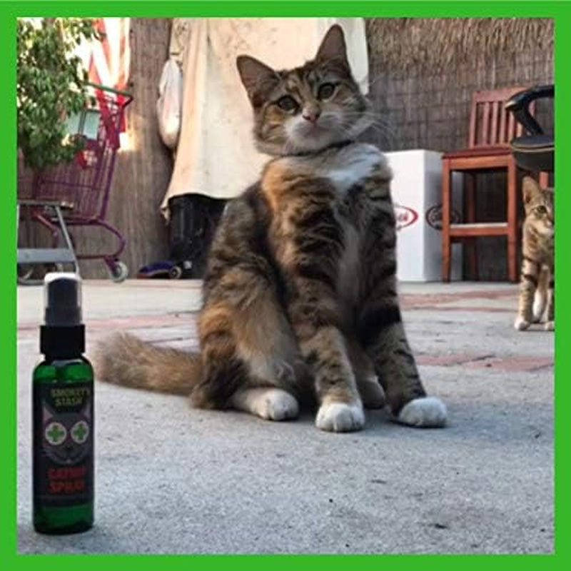Catnip Spray & Organic Dried Catnip Bundle for Cats | USA Made Cat Training Set