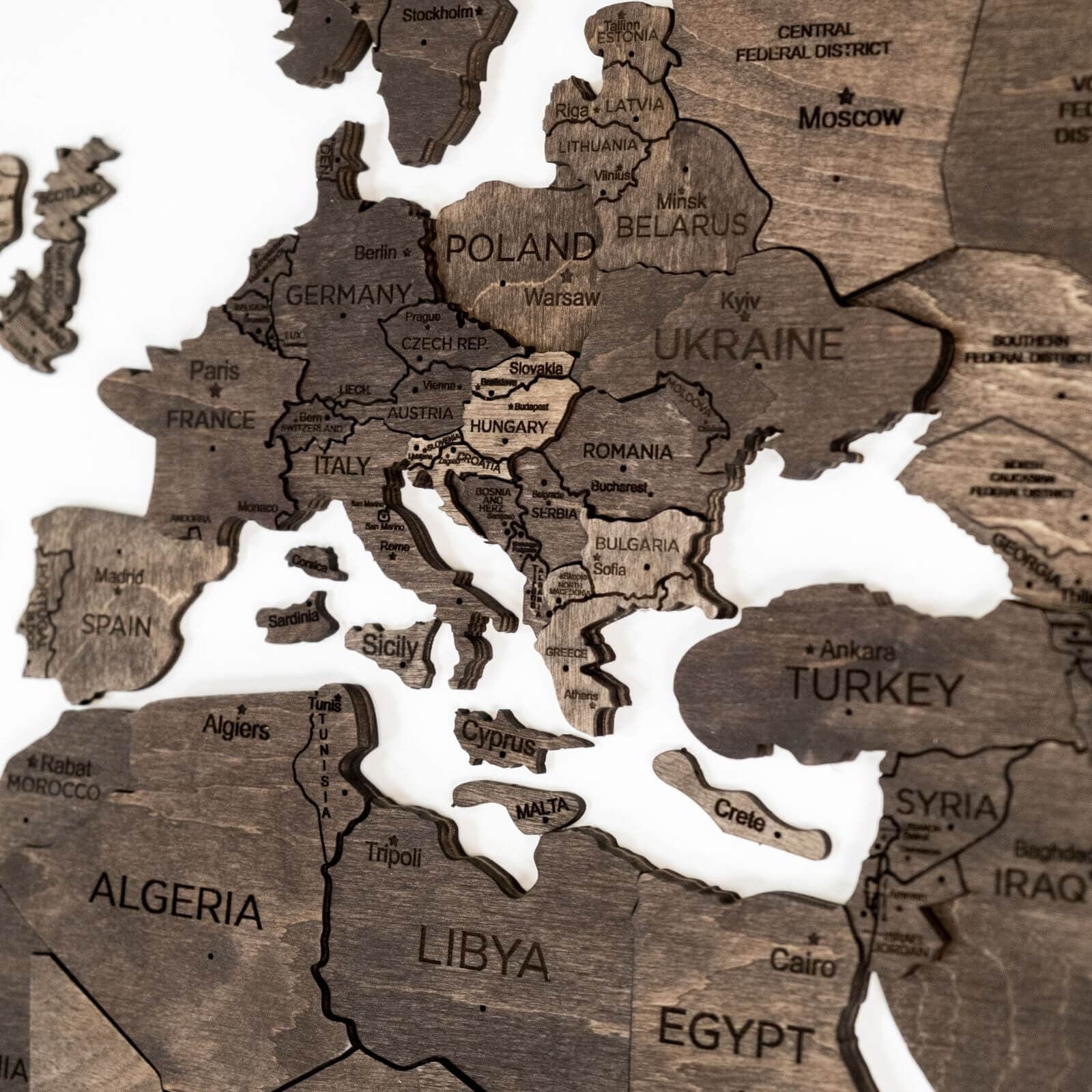 3D Wooden World Map Dark Walnut (for US only)
