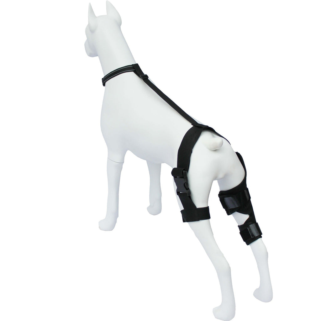 Dog Hind Leg Knee Brace Assist Strap