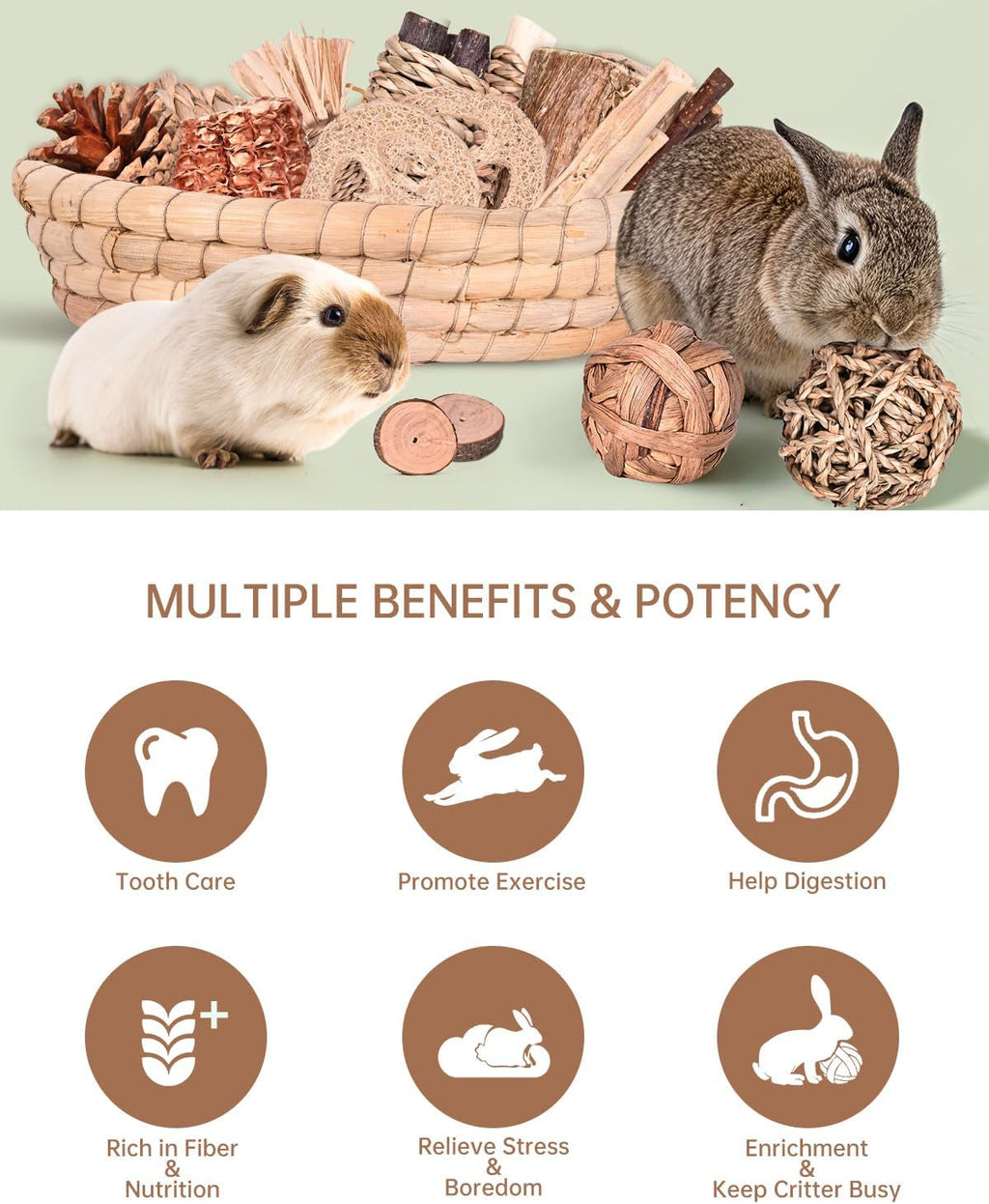 31PCS Natural Rabbit Chew Toys Set for Small Pets Dental Care
