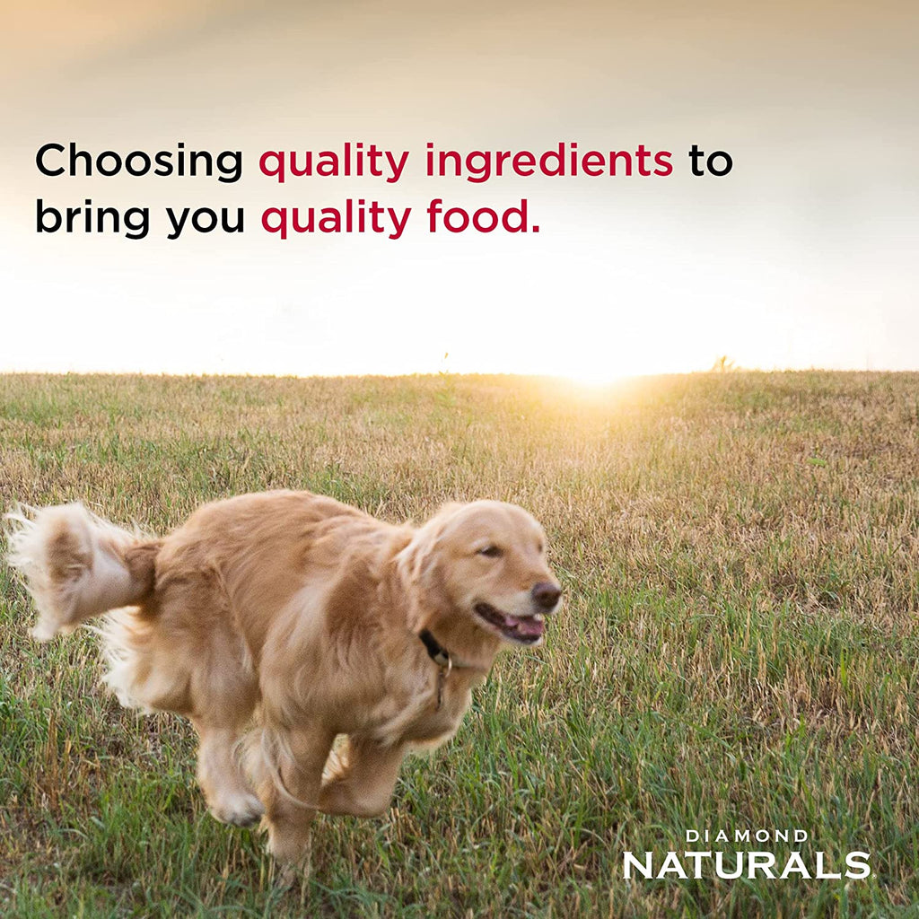 Diamond Naturals Small Breed Adult Dog Real Lamb Dry Food 18lbs.