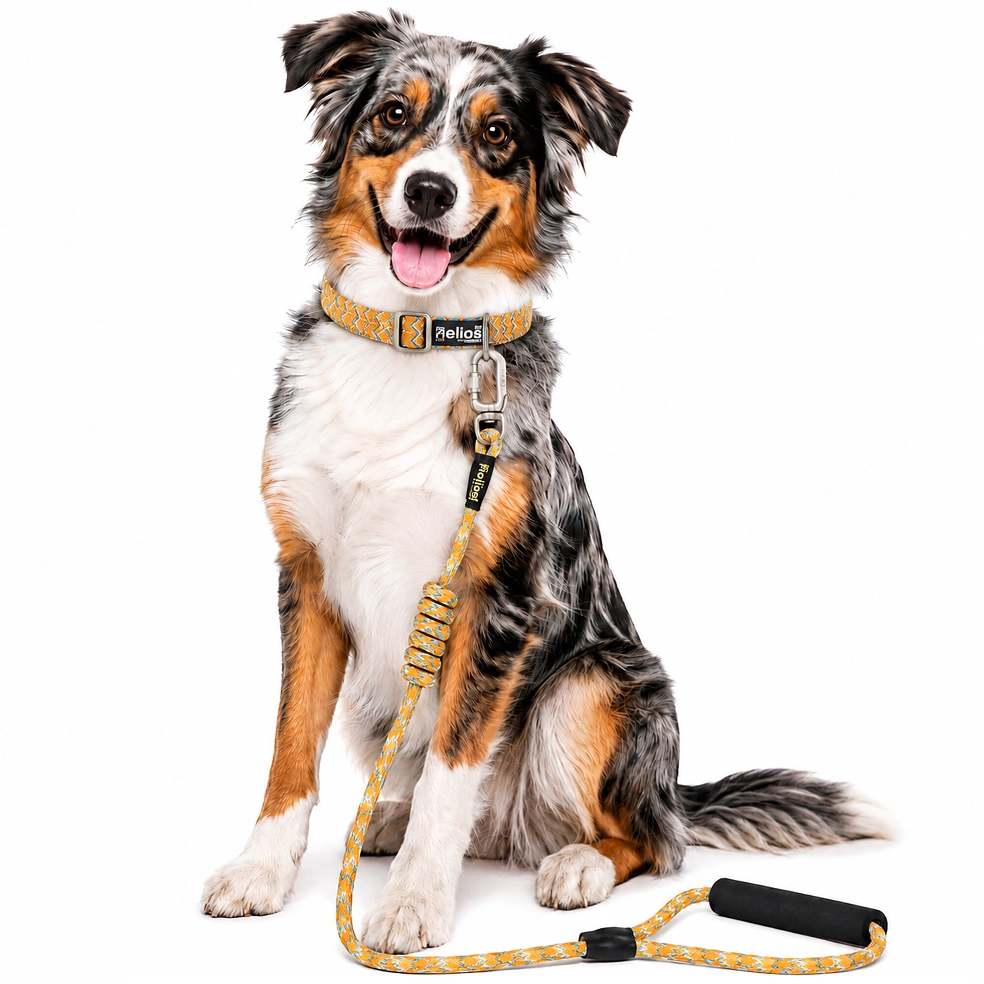 Dog Helios ® 'Dura-Tough' 2-in-1 Reflective Adjustable Fashion Dog Leash and Collar