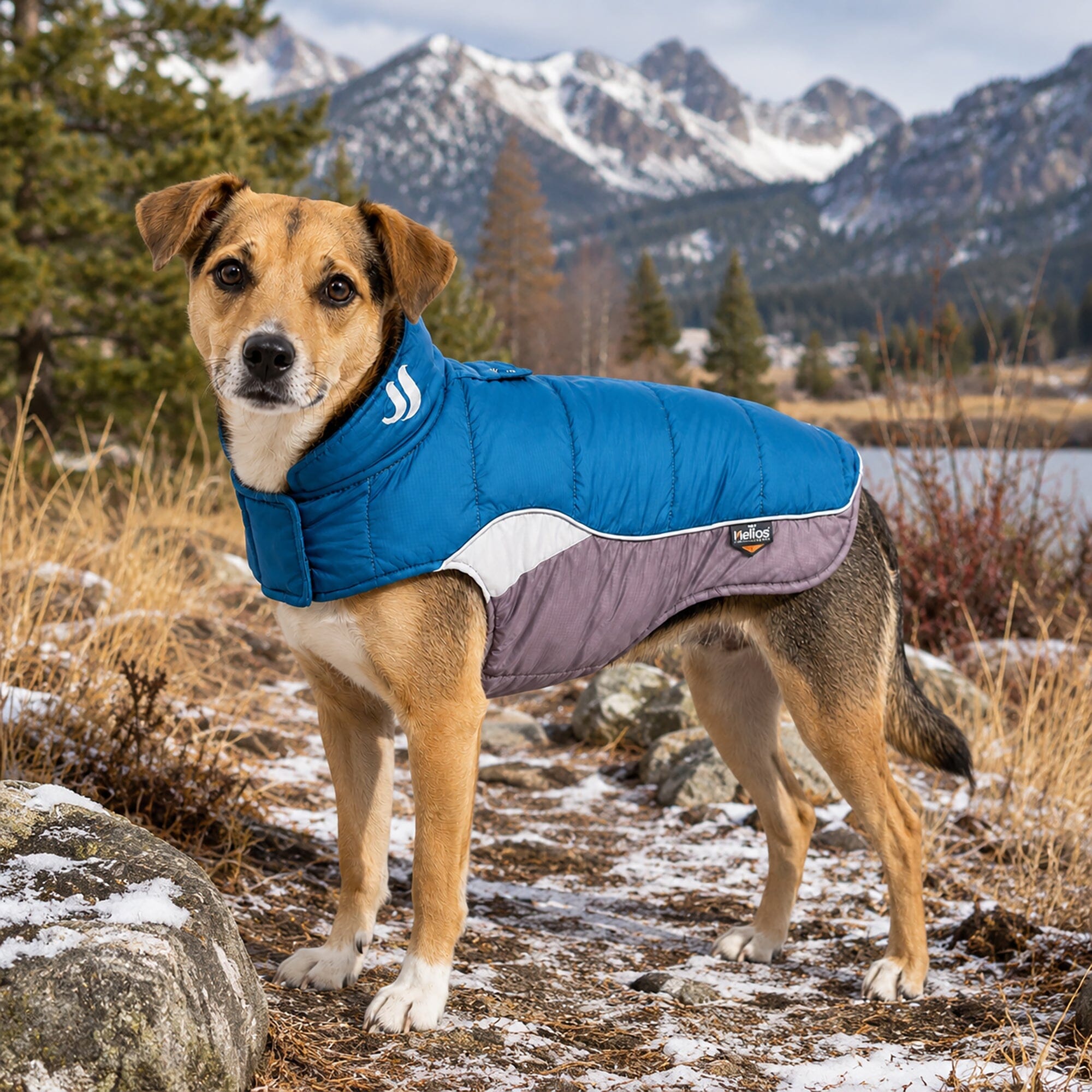 Dog Helios ® Hurricane-Waded Plush 3M Reflective Insulated Winter Dog Coat