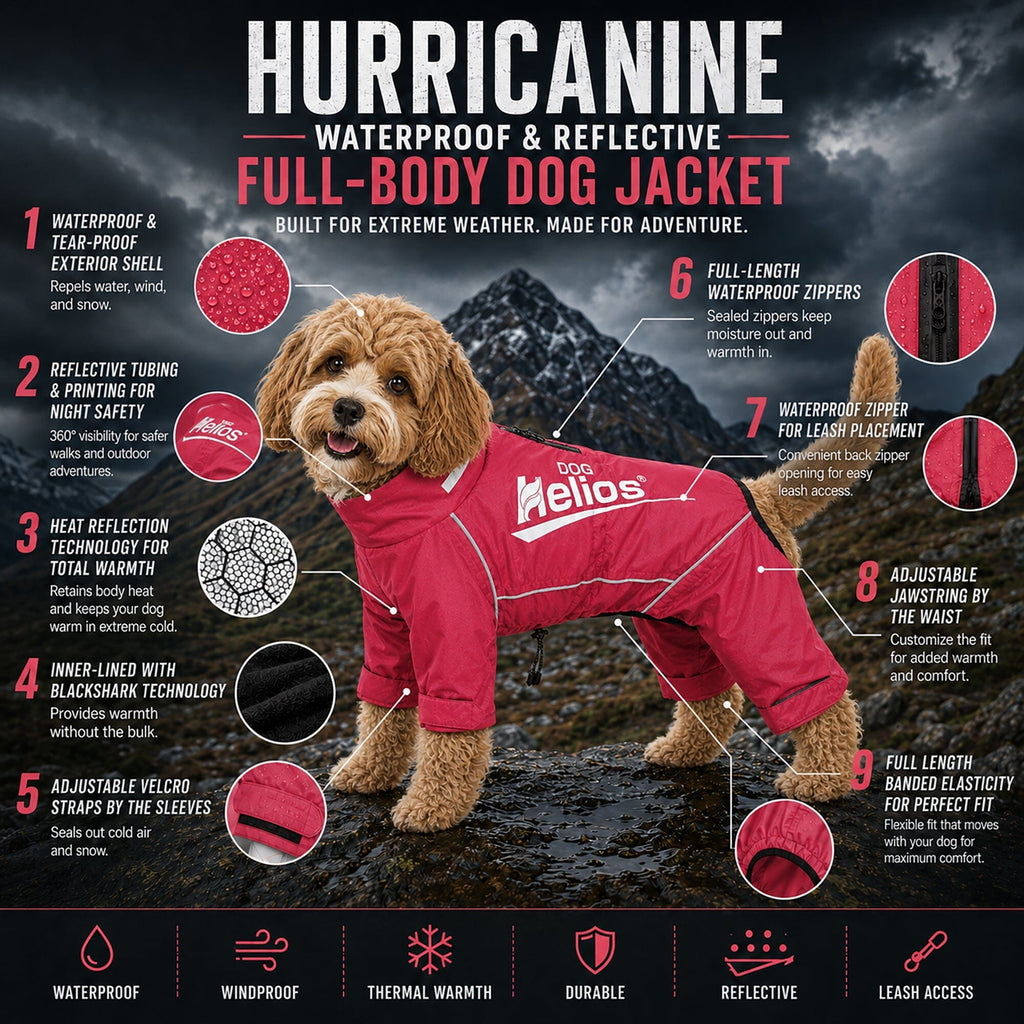 Dog Helios ® 'Hurricanine' Waterproof and Reflective Full Body Dog Coat