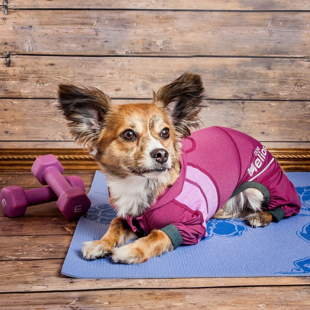 Dog Helios ® 'Namastail' Lightweight 4-Way-Stretch Yoga Performance Dog Tracksuit Hoodie
