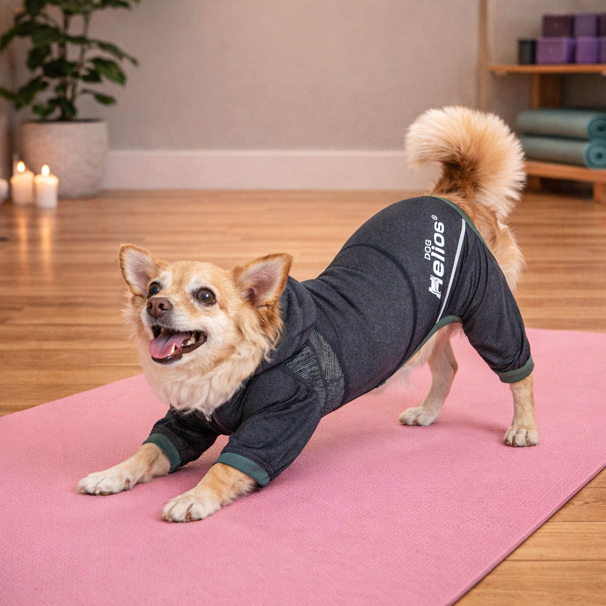 Dog Helios ® 'Namastail' Lightweight 4-Way-Stretch Yoga Performance Dog Tracksuit Hoodie