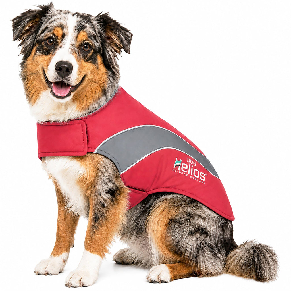 Dog Helios ® Octane Reflective Soft-Shell Neoprene Performance Dog Coat
