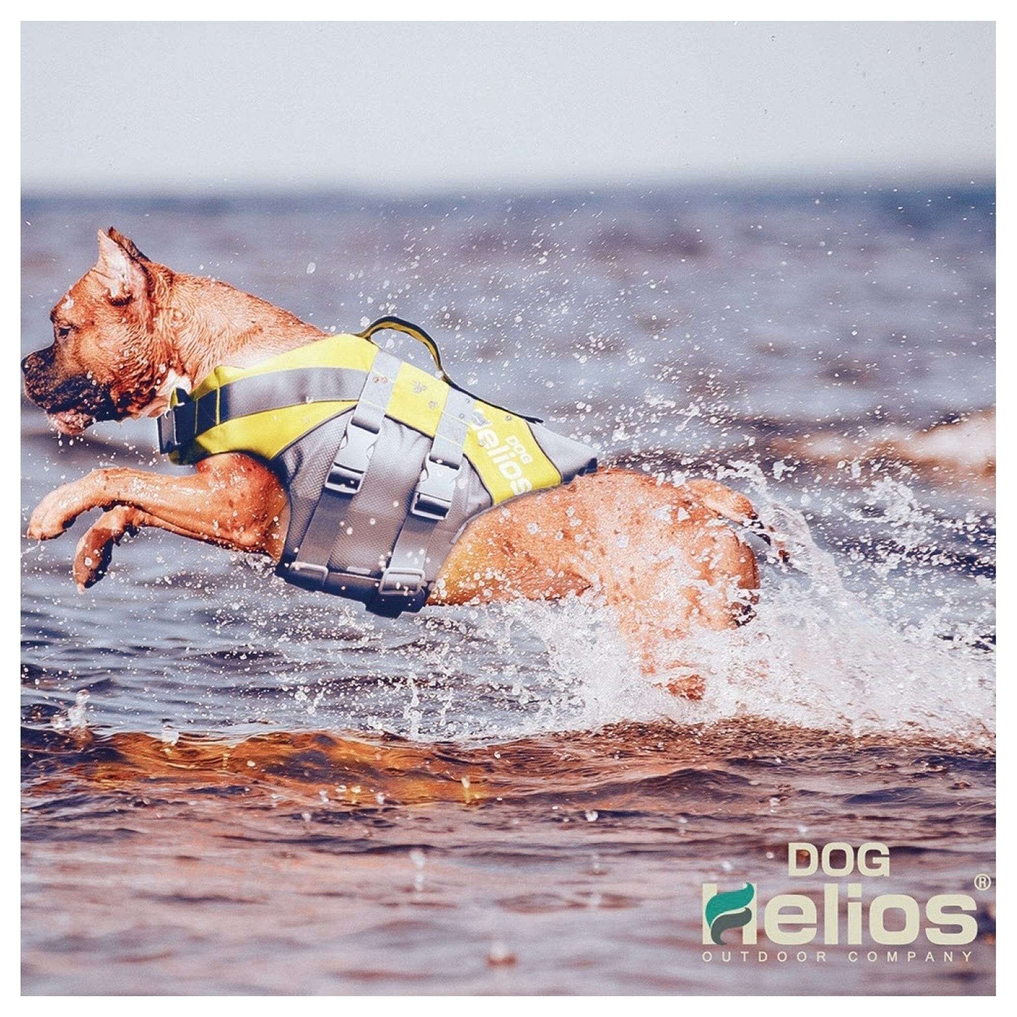 Dog Helios ® 'Splash-Explore' Reflective and Adjustable Floating Safety Dog Life Jacket