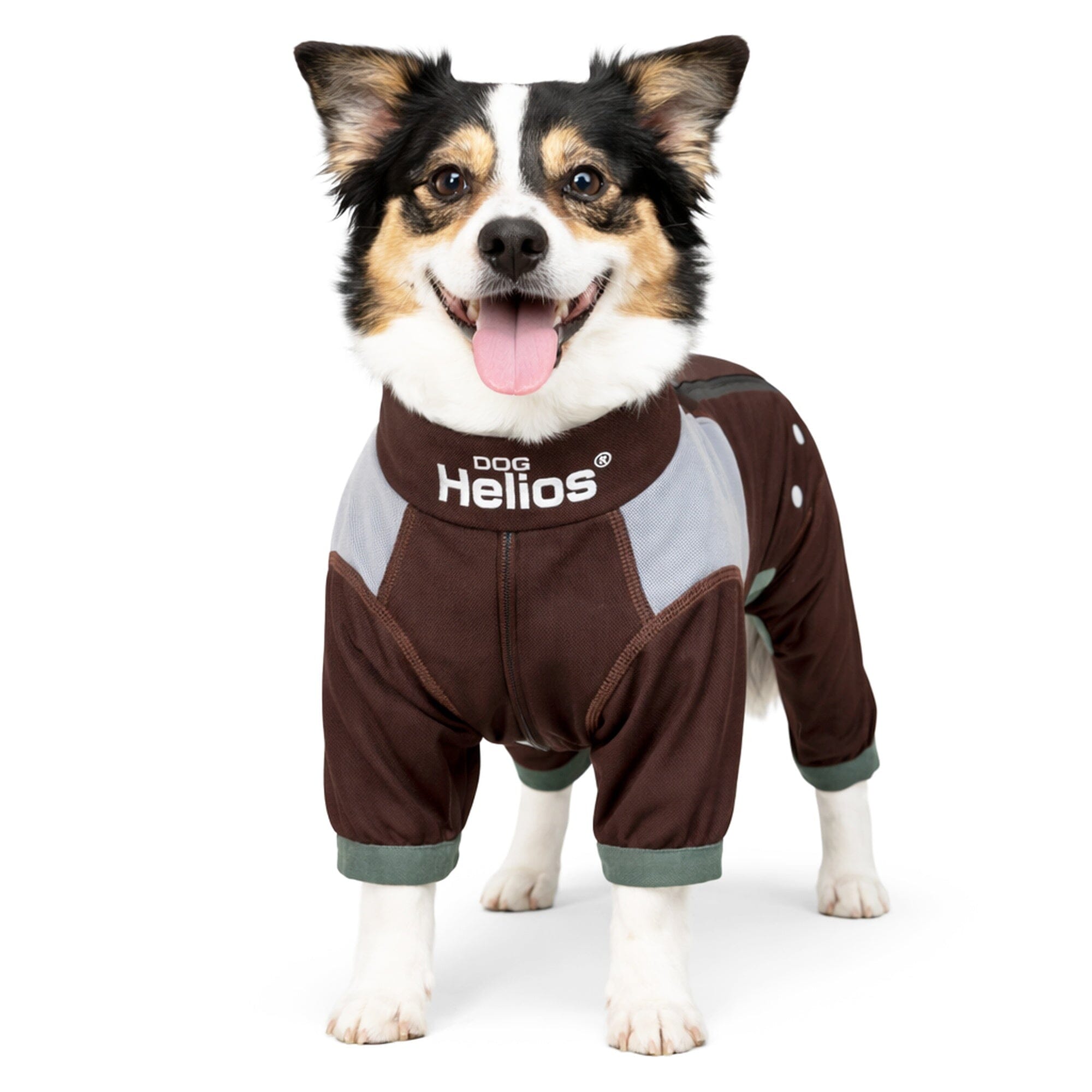Dog Helios ® 'Tail Runner' Lightweight 4-Way-Stretch Breathable Yoga Dog Tracksuit