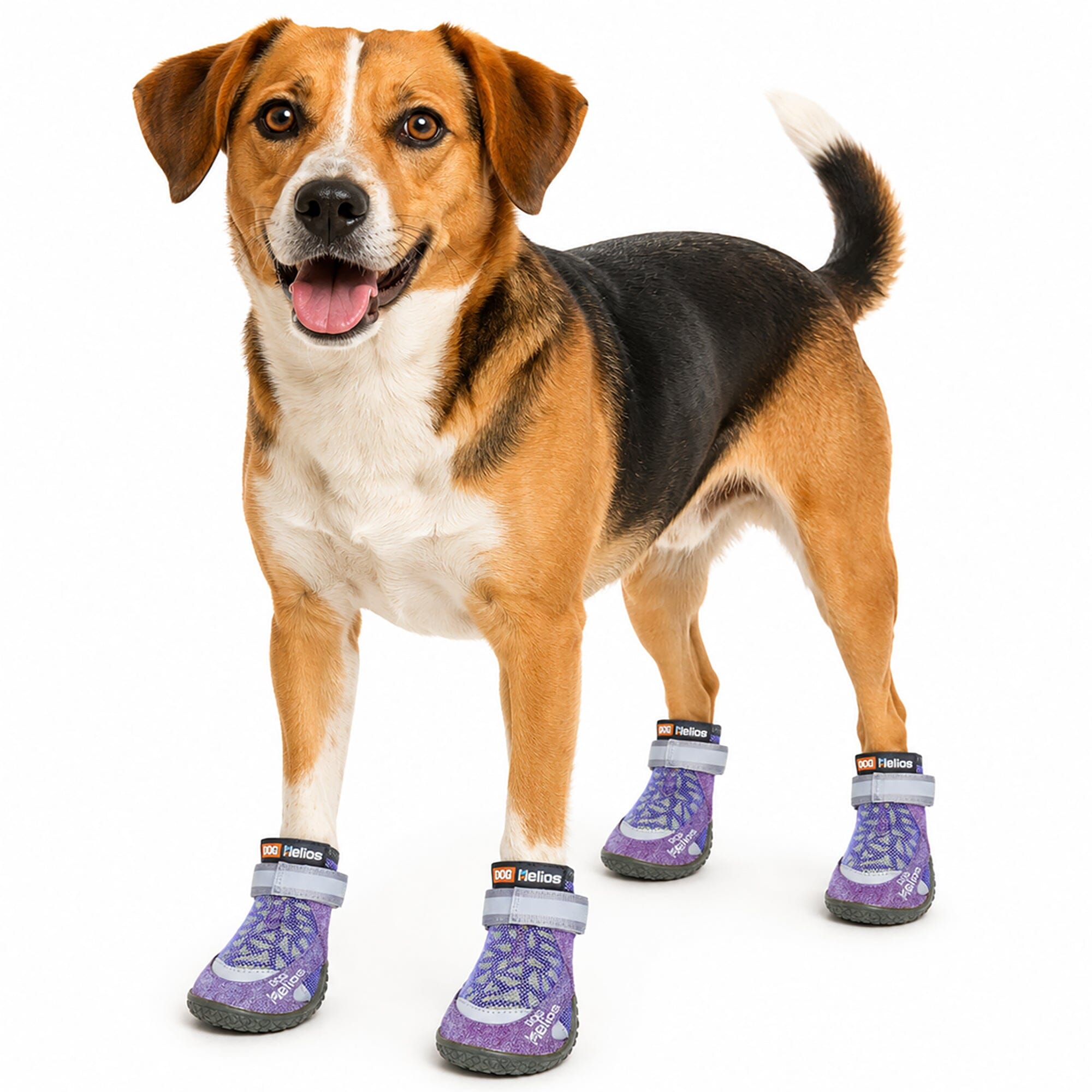 Dog Helios 'Surface' Premium Grip Performance Dog Shoes - Set Of 4
