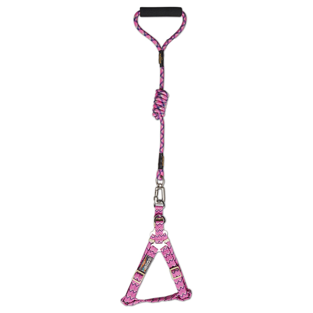 Dog Helios 'Surfside' Adjustable Dog Harness and Leash