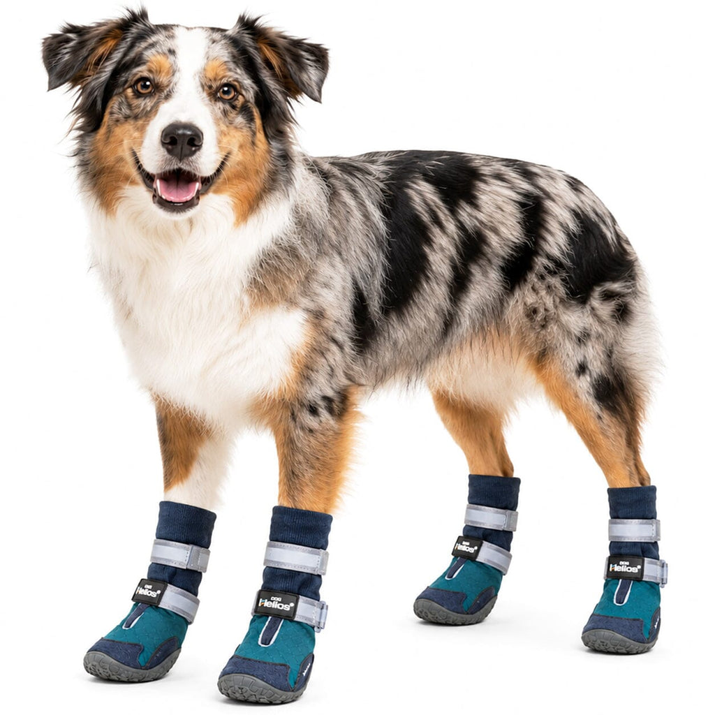 Dog Helios 'Traverse' Premium Grip High-Ankle Outdoor Dog Boots - Set Of 4