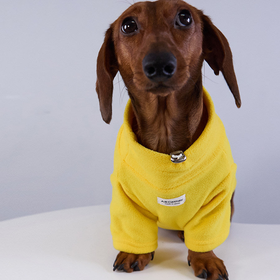 Abi Soft And Cozy Small Pet Dog Fleece Clothing