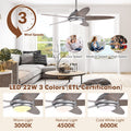 52 Inch Ceiling Fan with Lights and 3 Lighting Colors