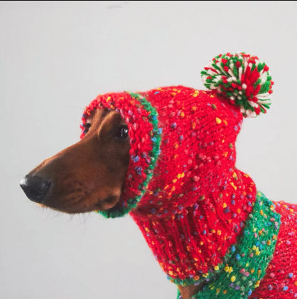 Christmas Pet Clothes For Autumn And Winter Warmth