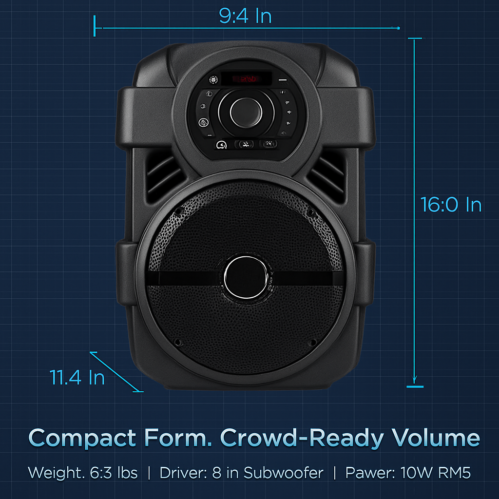 Portable PA Karaoke Speaker for Home Parties