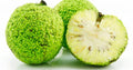 Hedge Apples/Osage Oranges