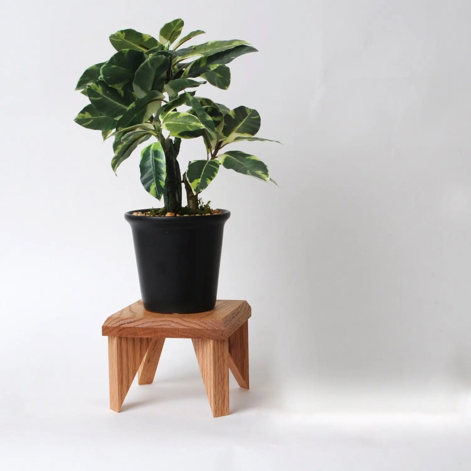 Geometric Plant Stand Oak Wood, Walnut Wood Display Stand