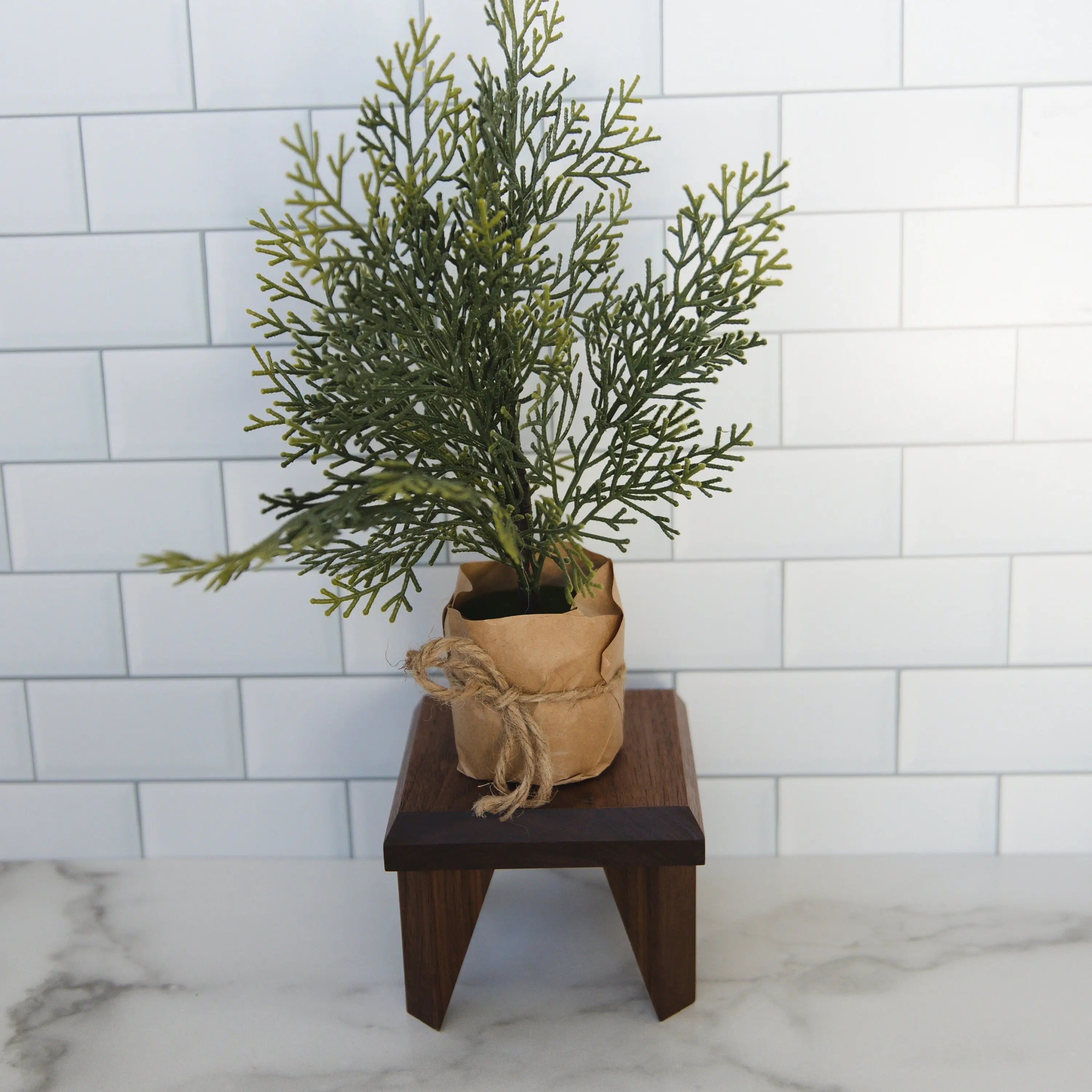 Geometric Plant Stand Oak Wood, Walnut Wood Display Stand
