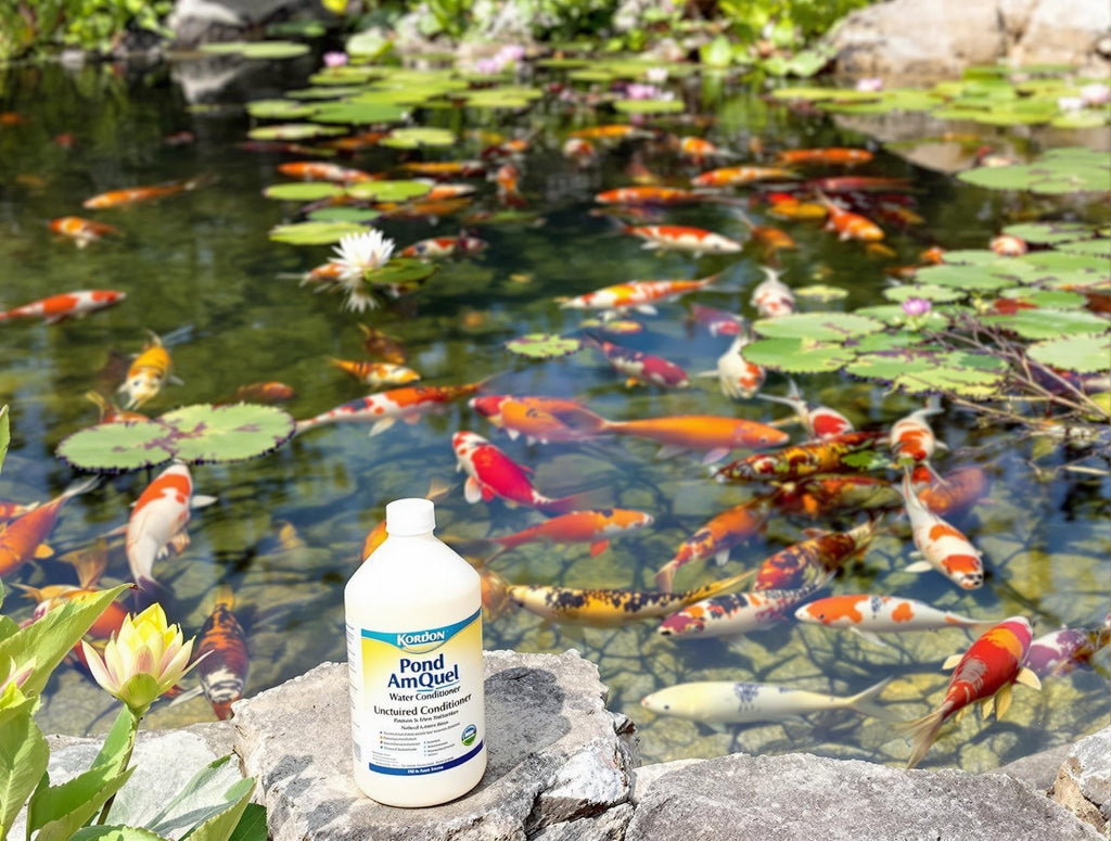 Kordon Pond Amquel Liquid 16oz - Complete Water Detoxifier for Fresh & Saltwater Aquariums 2-Pack