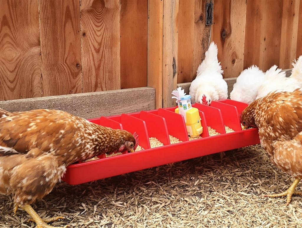 Little Giant Plastic Poultry Trough Feeder Heavy Duty Wide Spacing 20-Inch