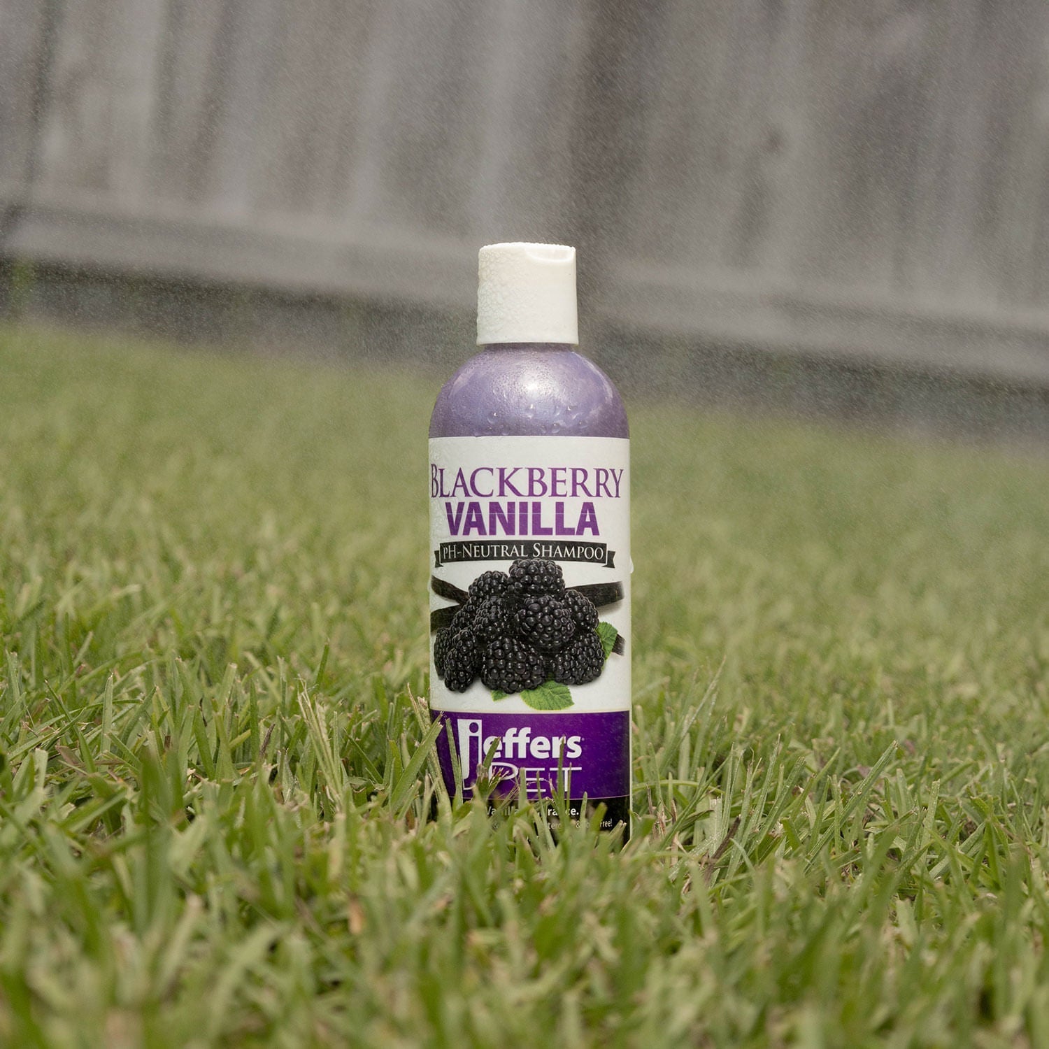 Jeffers Pet Blackberry Vanilla pH-Neutral Pet Shampoo