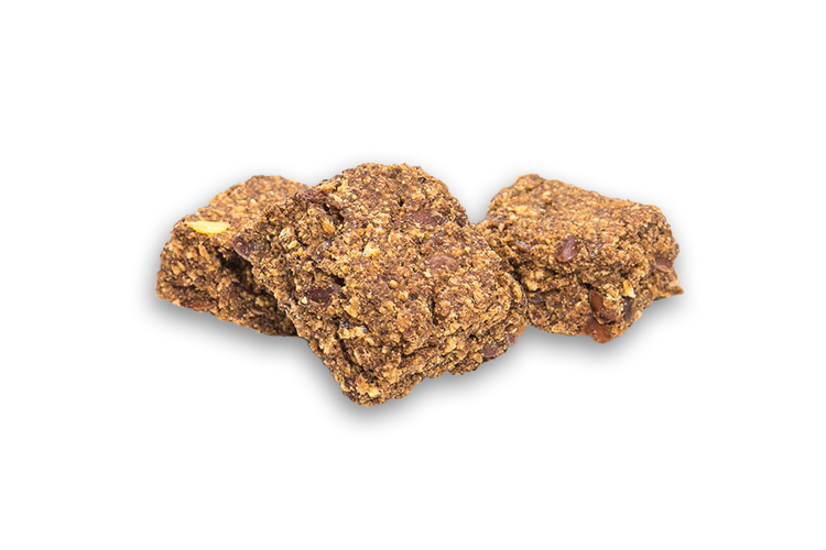 DogStar Liver Treats