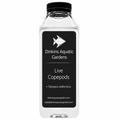 Live Tigriopus Copepods (Single Species)
