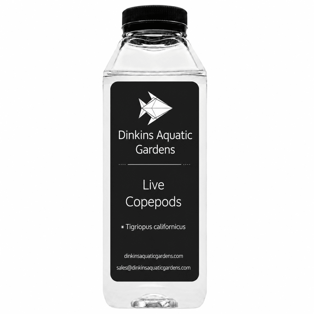 Live Tigriopus Copepods (Single Species)