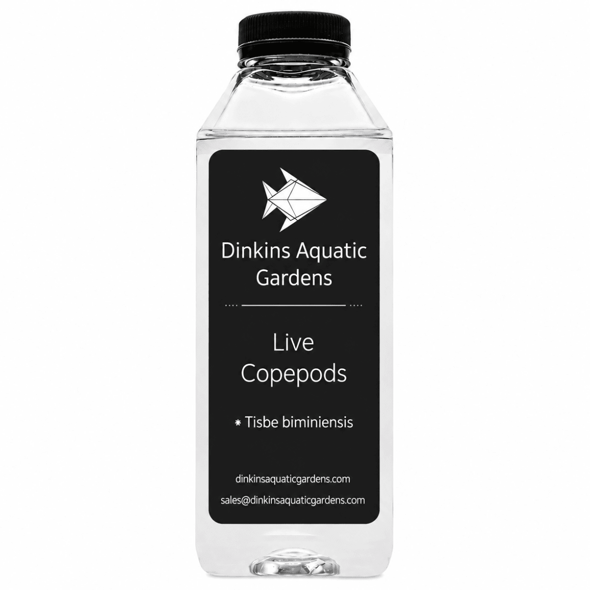 Live Tisbe Copepods (Single Species)