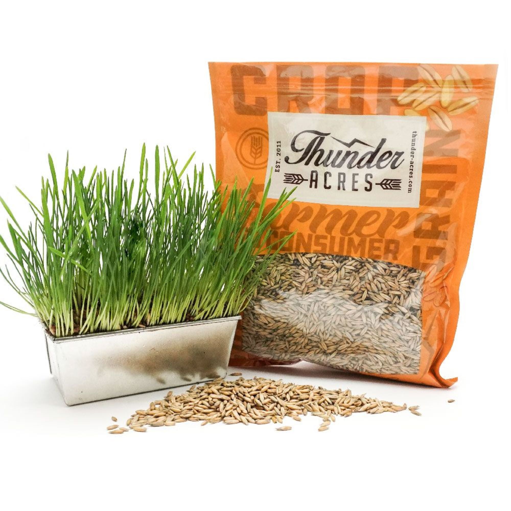 Oat Seed, USDA Certified Organic, Glyphosate Free