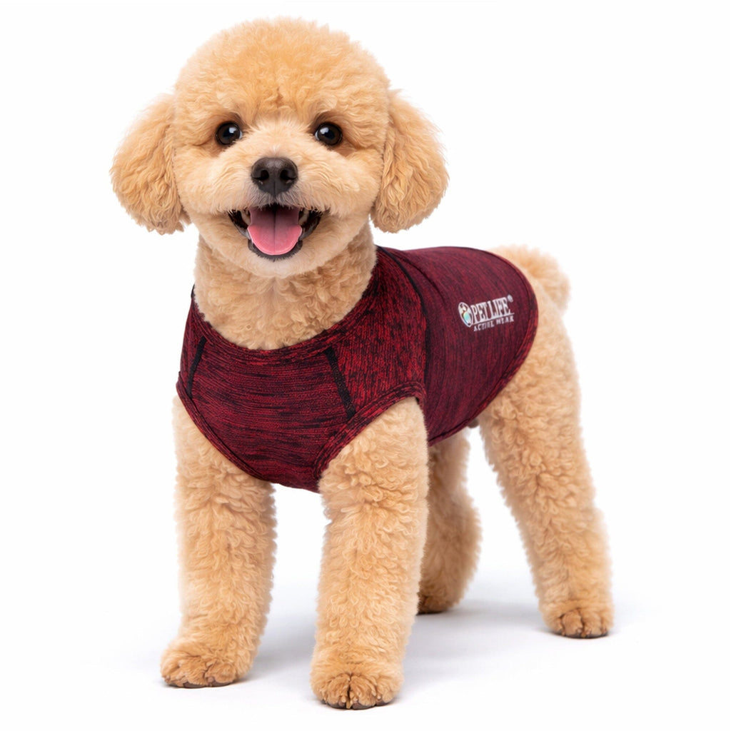 Pet Life ® Active 'Aero-Pawlse' Quick-Dry and 4-Way-Stretch Yoga Fitness Dog T-Shirt Tank Top