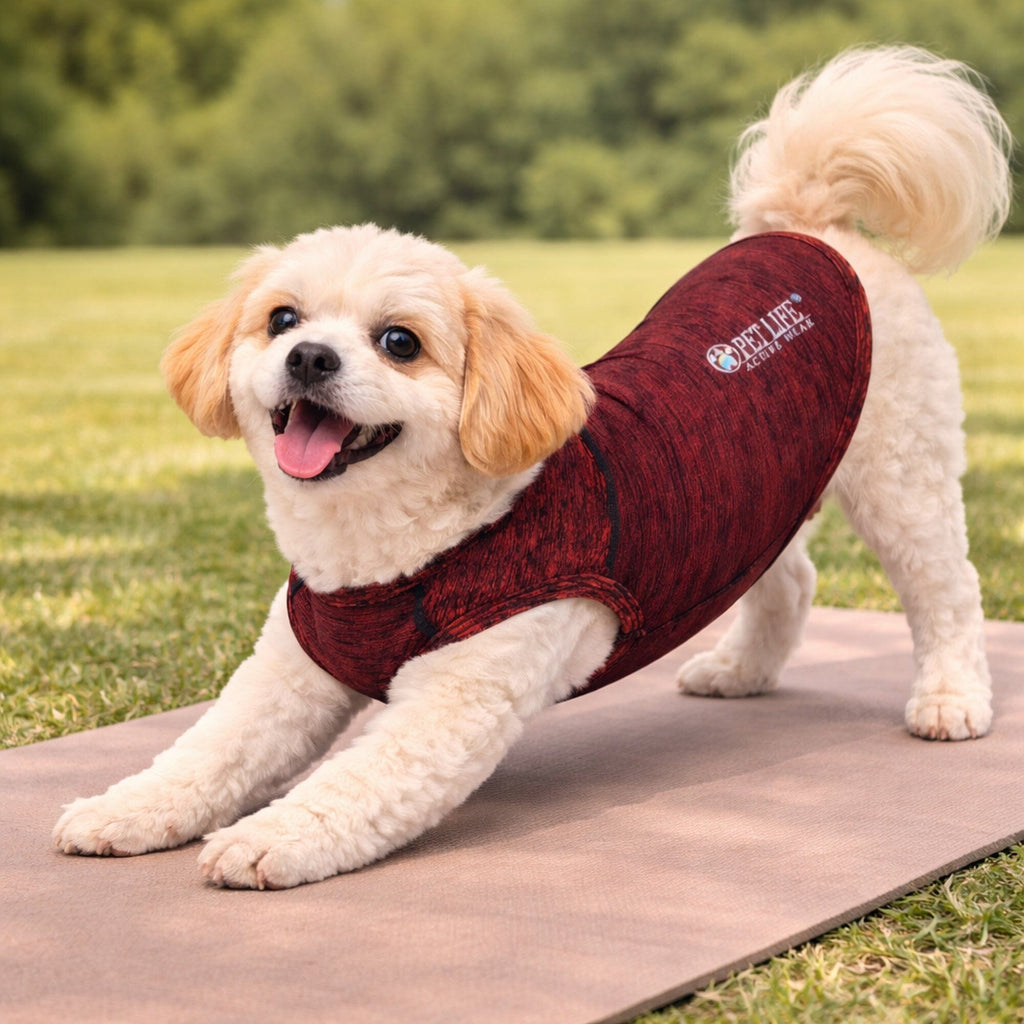 Pet Life ® Active 'Aero-Pawlse' Quick-Dry and 4-Way-Stretch Yoga Fitness Dog T-Shirt Tank Top