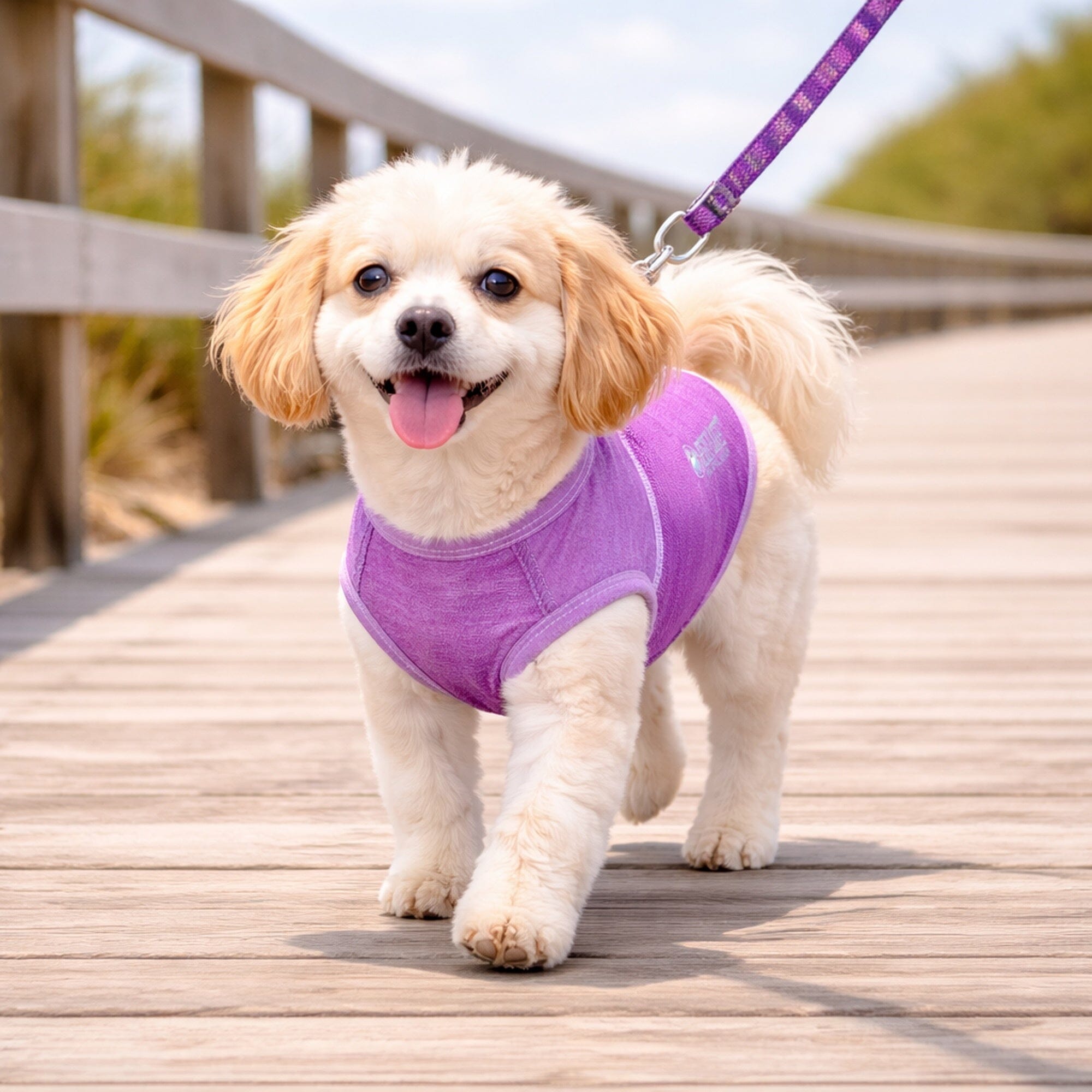 Pet Life ® Active 'Aero-Pawlse' Quick-Dry and 4-Way-Stretch Yoga Fitness Dog T-Shirt Tank Top