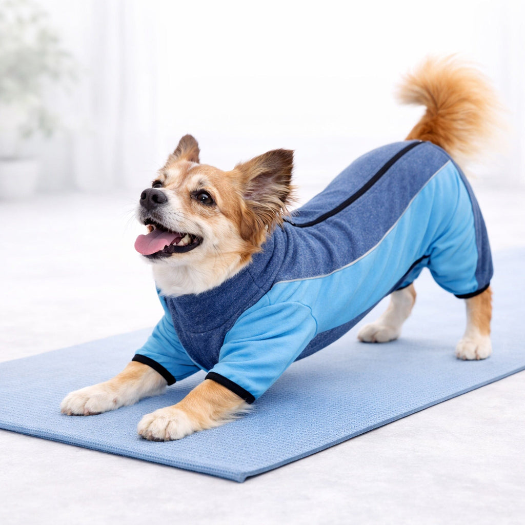 Pet Life ® Active 'Chase Pacer' Medium-weight 4-Way-Stretch Yoga Fitness Dog Tracksuit