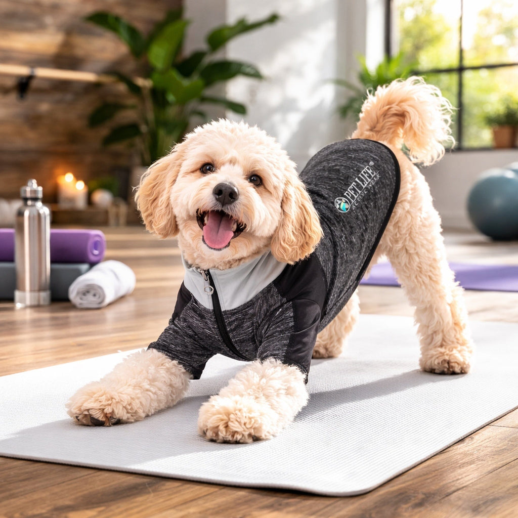 Pet Life ® Active 'Chewitt Wagassy' 4-Way-Stretch Yoga Fitness Long-Sleeve Dog T-Shirt