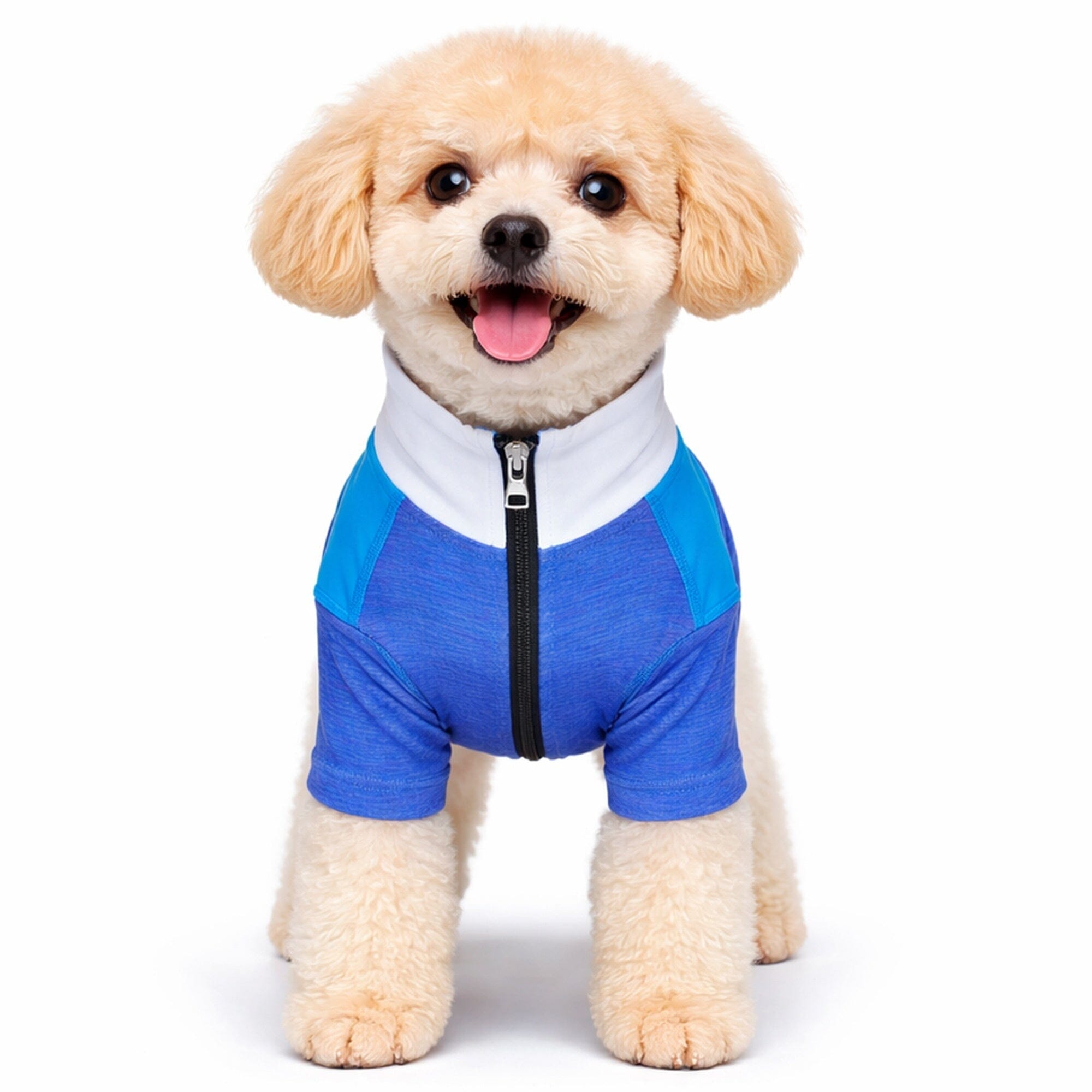 Pet Life ® Active 'Chewitt Wagassy' 4-Way-Stretch Yoga Fitness Long-Sleeve Dog T-Shirt