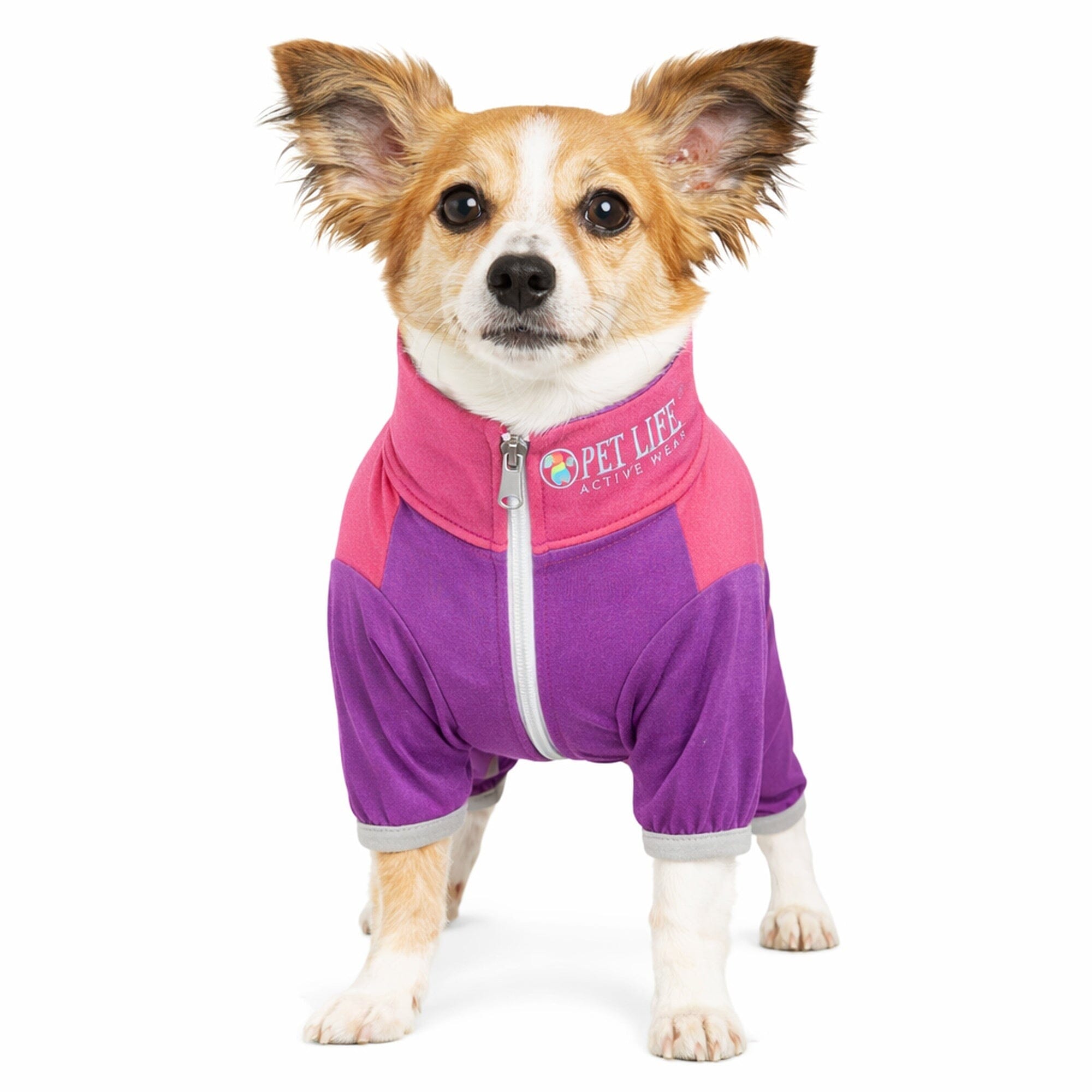 Pet Life ®  Active 'Embarker' 4-Way Stretch Fitness Yoga Full Body Dog Tracksuit