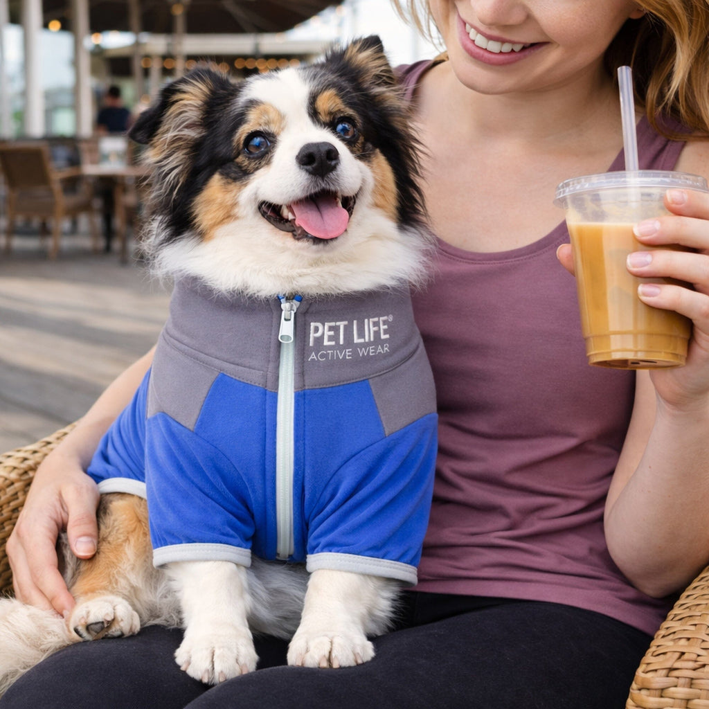 Pet Life ®  Active 'Embarker' 4-Way Stretch Fitness Yoga Full Body Dog Tracksuit