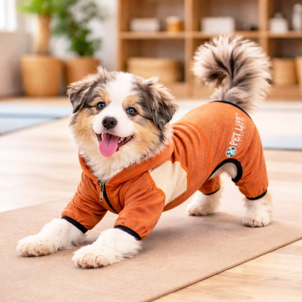 Pet Life ®  Active 'Fur-Breeze' Medium-weight 4-Way-Stretch Full Body Hooded Dog Yoga sweater