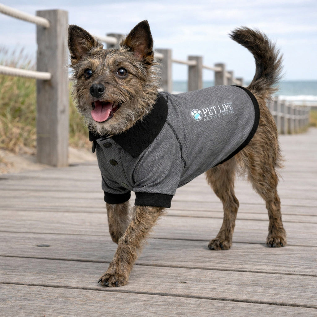 Pet Life ® Active 'Fur-Flex' Stretch and Quick-Dry Anti-Odor Fitness Yoga Dog Polo T-Shirt
