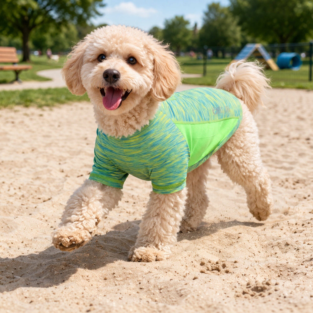 Pet Life ® Active 'Warf Speed' Heathered Ultra-Stretch Yoga Fitness Dog T-Shirt