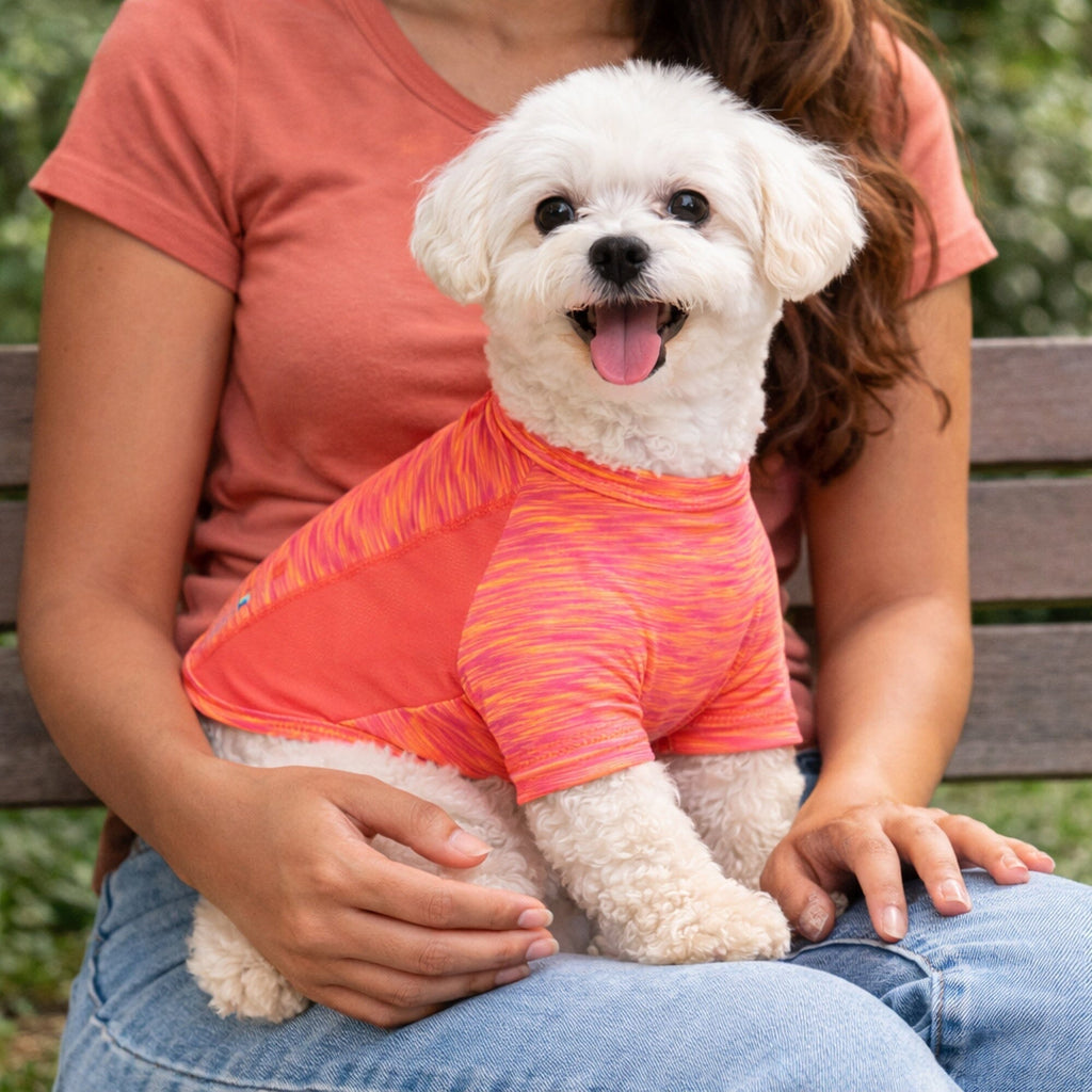 Pet Life ® Active 'Warf Speed' Heathered Ultra-Stretch Yoga Fitness Dog T-Shirt