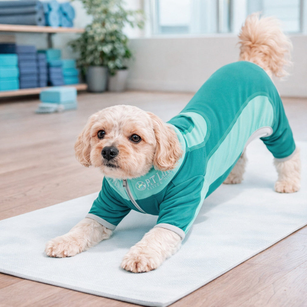 Pet Life ® Active 'Warm-Pup' Stretchy and Quick-Drying Fitness Dog Yoga Warm-Up Tracksuit