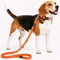 Pet Life ® 'Advent' Outdoor Series 3M Reflective 2-in-1 Durable Martingale Training Dog Leash and Collar