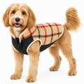 Pet Life ®  'Allegiance' Classical Insulated Plaid Fashion Dog Jacket
