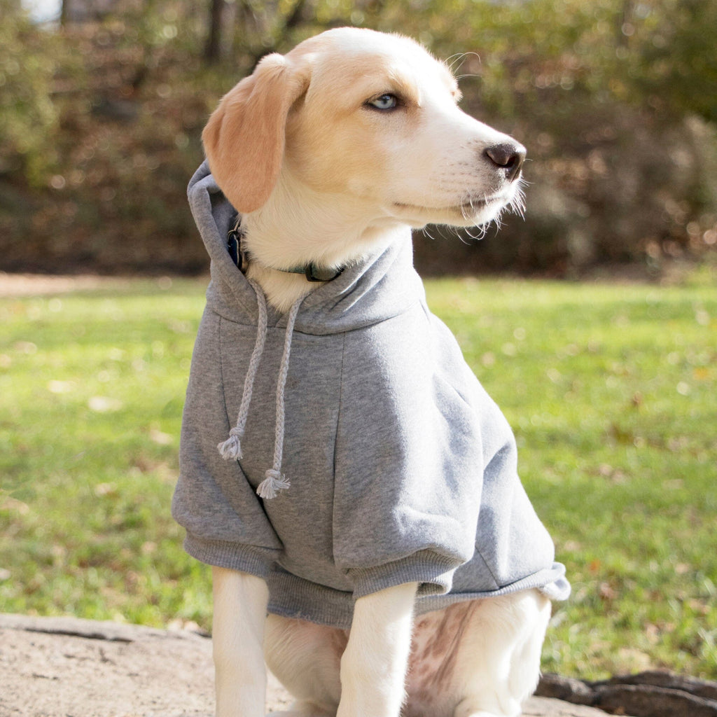 Pet Life ® 'American Classic' Fashion Plush Cotton Hooded Dog Sweater