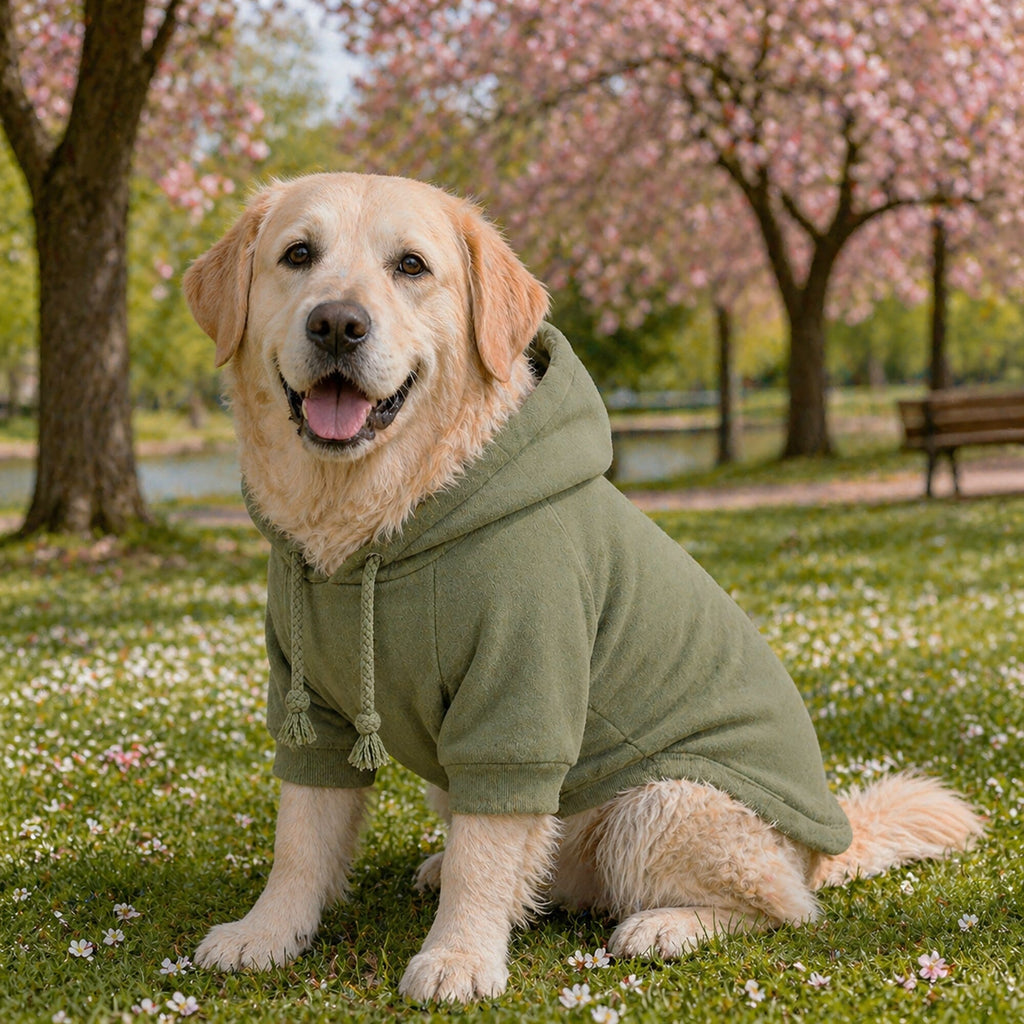 Pet Life ® 'American Classic' Fashion Plush Cotton Hooded Dog Sweater