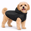 Pet Life ® 'Apex' Lightweight Hybrid 4-Season Stretch and Quick-Dry Dog Coat w/ Pop out Hood