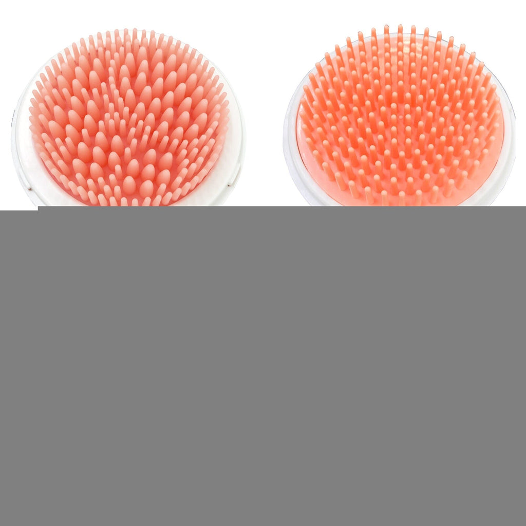 Pet Life ® 'Bravel' 3-in-1 Travel Pocketed Dual Grooming Brush and Pet Comb